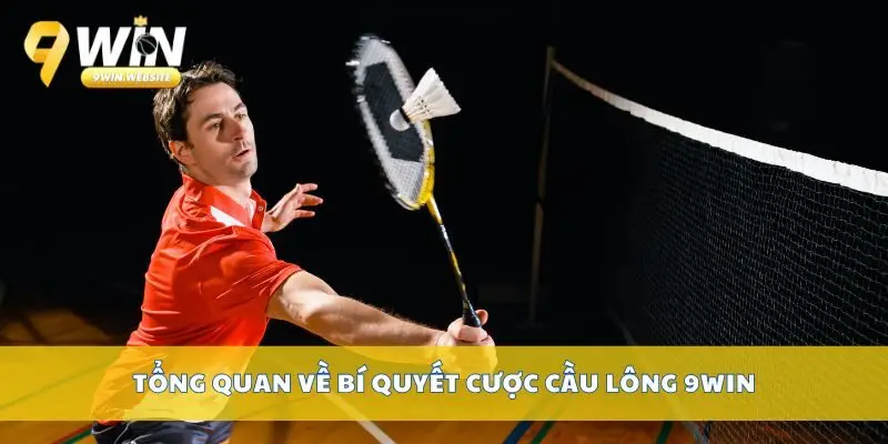 Bí quyết cược cầu lông 9win 2 Tổng quan về bí quyết cược cầu lông 9win