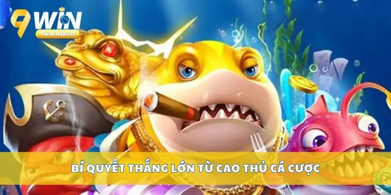 Bí Quyết Thắng Bắn Cá Online Từ Người Chơi Chuyên Nghiệp 3 Bí quyết thắng lớn từ cao thủ cá cược