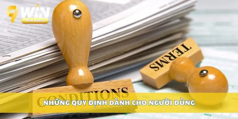 Điều Khoản Điều Kiện Khi Sử Dụng Dịch Vụ Tại Nhà Cái 9win 2 Những quy định dành cho người dùng