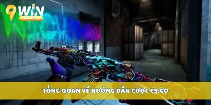 Hướng dẫn cược CSGO chi tiết cho người mới bắt đầu chơi 2 Tổng quan về hướng dẫn cược CS:GO