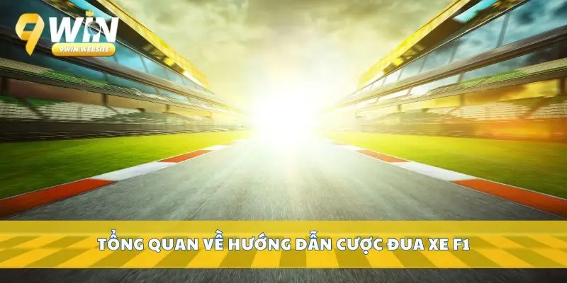 Hướng Dẫn Cược Đua Xe F1 Chuẩn Xác Cho Người Chơi Mới 2 Tổng quan về hướng dẫn cược đua xe F1