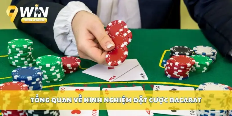 Kinh Nghiệm Đặt Cược Bacarat Giúp Bạn Kiểm Soát Vốn Hiệu Quả 2 Tổng quan về kinh nghiệm đặt cược Bacarat