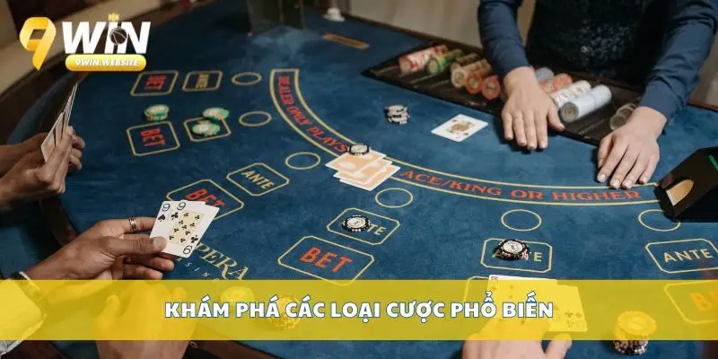 Kinh Nghiệm Đặt Cược Bacarat Giúp Bạn Kiểm Soát Vốn Hiệu Quả 3 Khám phá các loại cược phổ biến